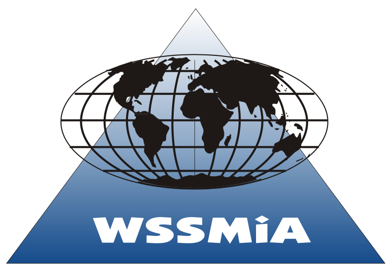 Wyższa Szkoła Stosunków Międzynarodowych i Amerykanistyki logo